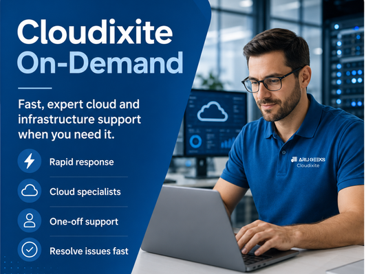 IT specialist providing remote helpdesk support to a business user